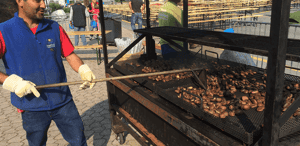 Feasts_castagnata