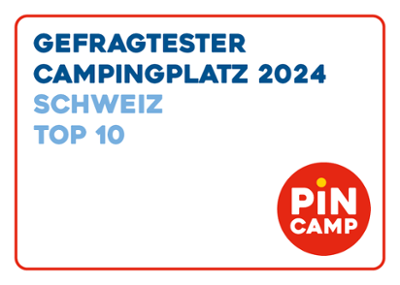 PiNCAMP_Top_100_Icon_2024_Schweiz-1